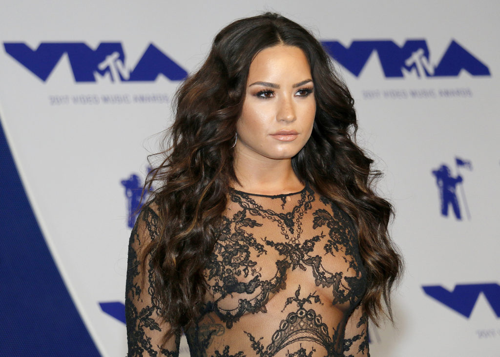 Demi Lovato has made her mark successfully in the music industry