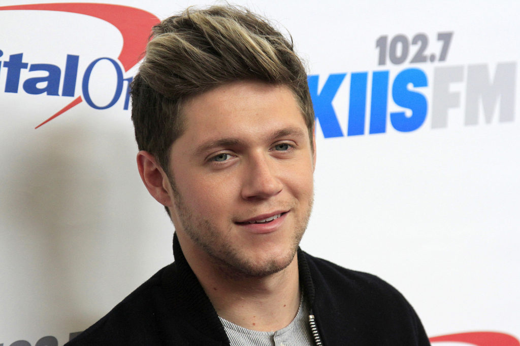 Niall Horan is known for his excellent pop music and down-to-earth personality