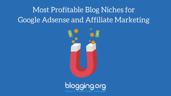 Most Profitable Blog Niches for Google Adsense and Affiliate Marketing